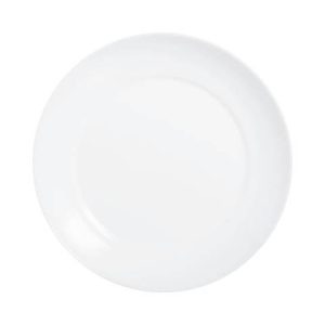 dinner-plate-25-apy-t